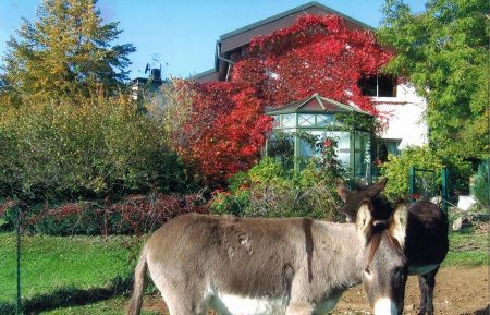 G&icirc;te n&deg;G1591 Lavans-l&egrave;s-Saint-Claude - Jura - photo
