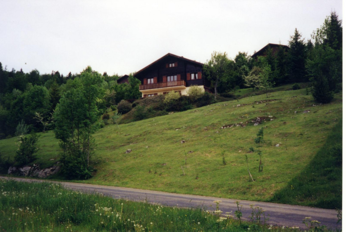 photo 0
