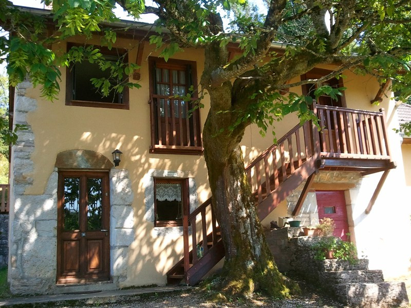 photo 0