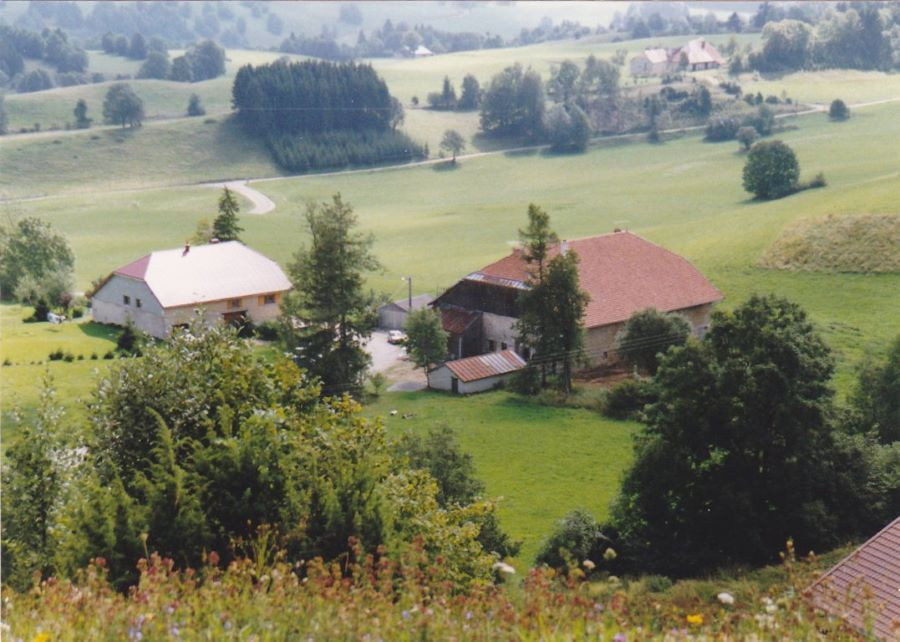 photo 0