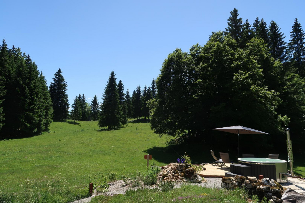 photo 52