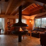Salon avec vue sur la for&ecirc;t et tr&egrave;s belle chemin&eacute;e au milieu