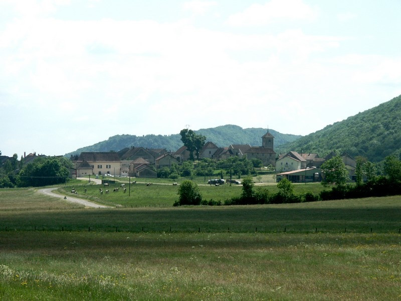 photo 0