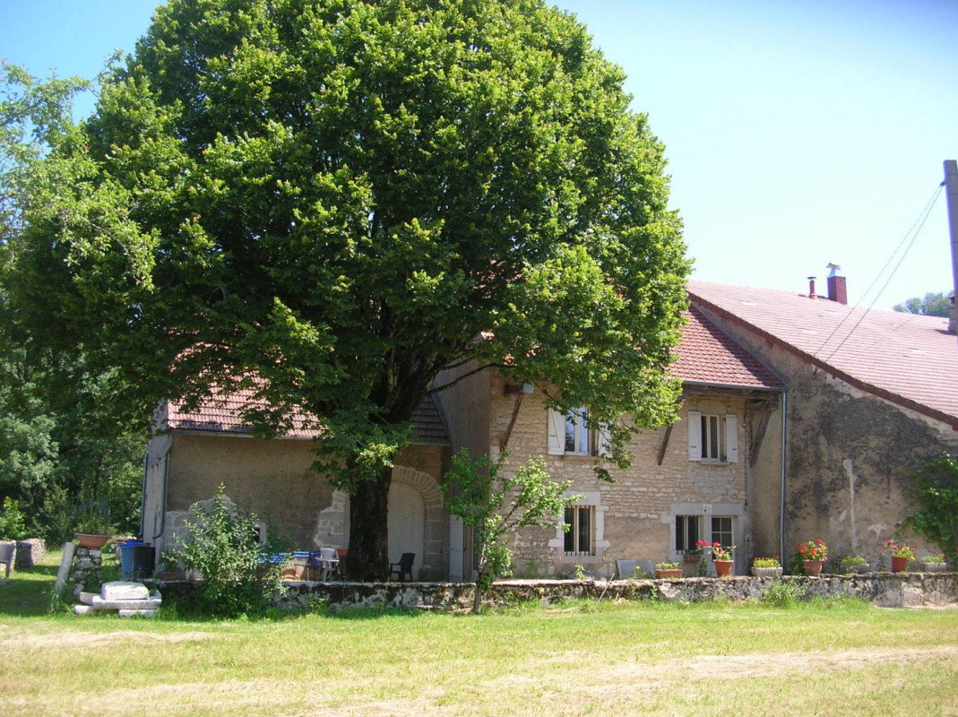 photo 0