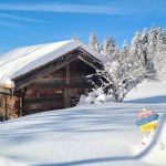 Chalet d'alpage - Piccolo chalet - LAMOURA - Jura