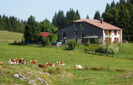 G&icirc;te n&deg;G2335 Lamoura - Jura - photo
