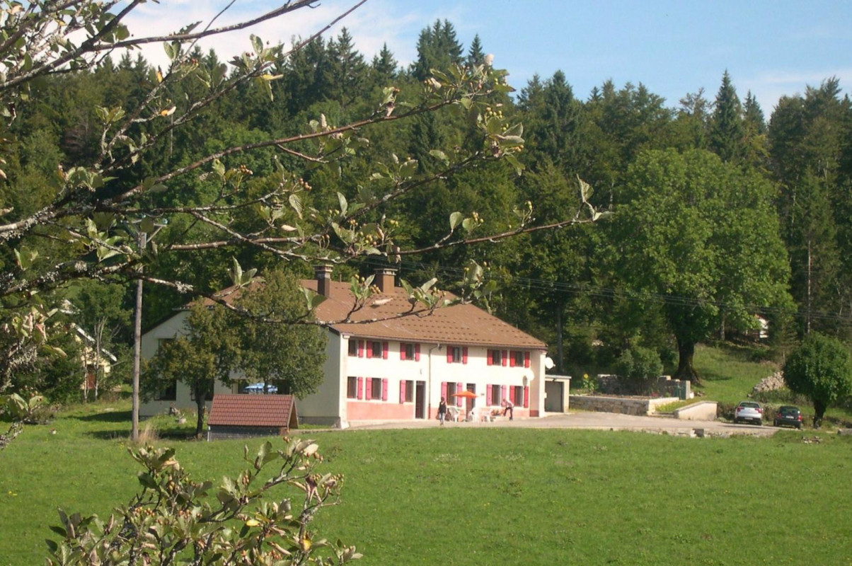 photo 0