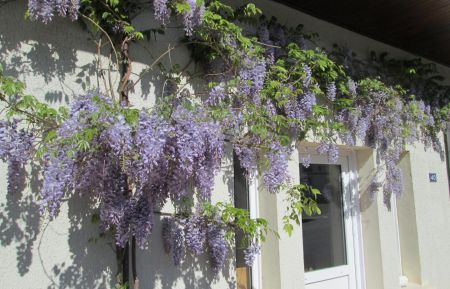 G&icirc;te n&deg;G2142 Sapois - Jura - photo