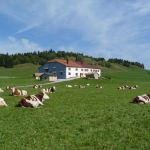 gite - BELLECOMBE - Jura