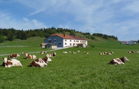 G&icirc;te n&deg;G429 Bellecombe - Jura - photo