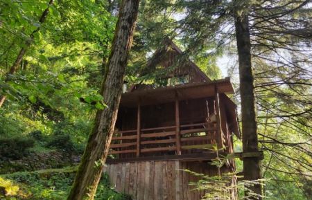 Cabane dans les arbresG6010 Ladoye-sur-Seille - Jura - photoEte